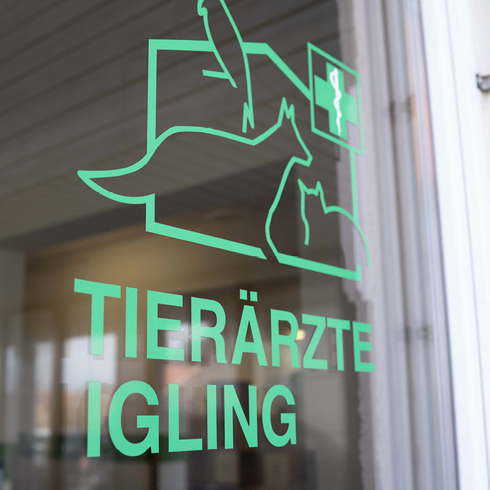 8-Tierärzte-Igling-Log